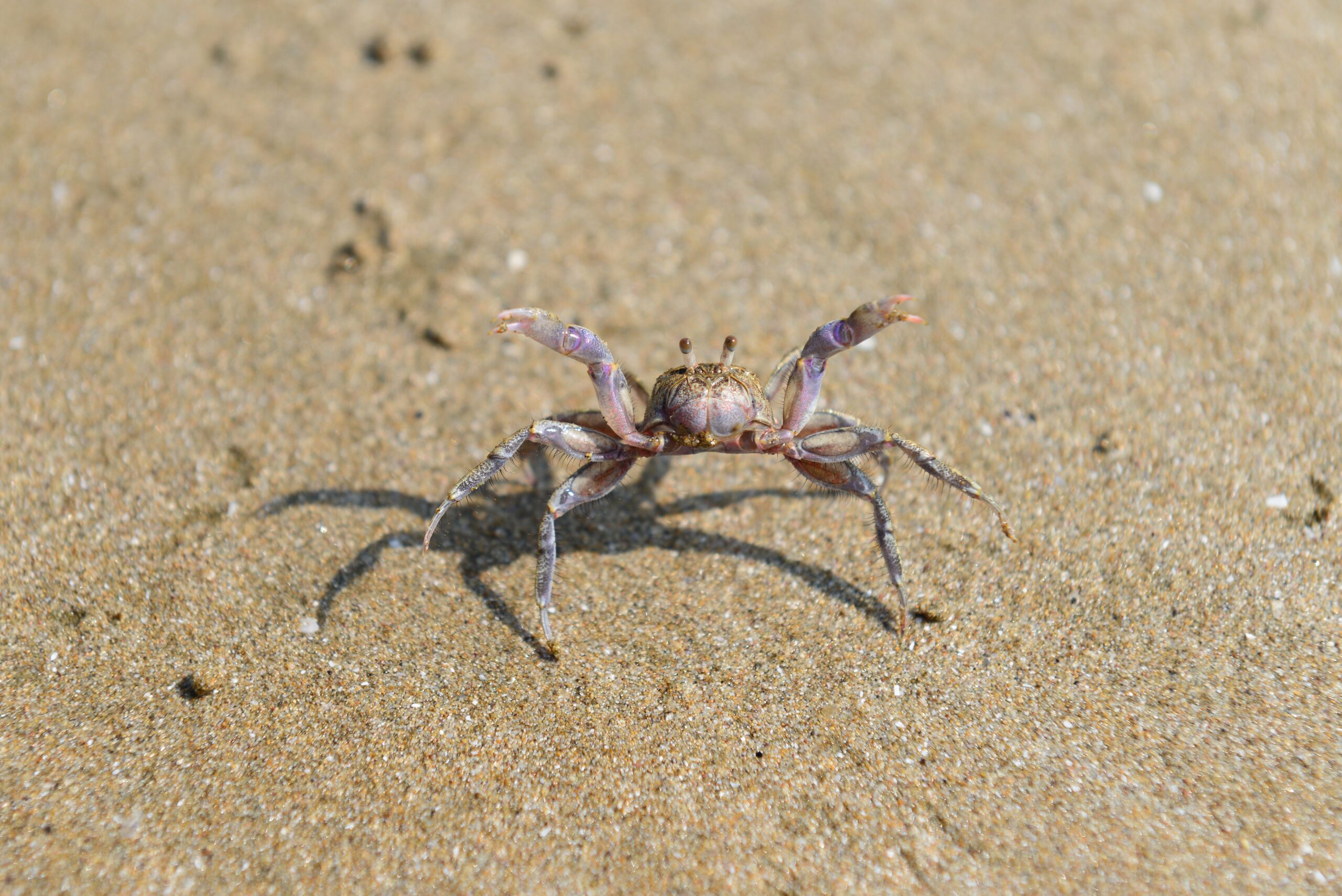 함덕해수욕장