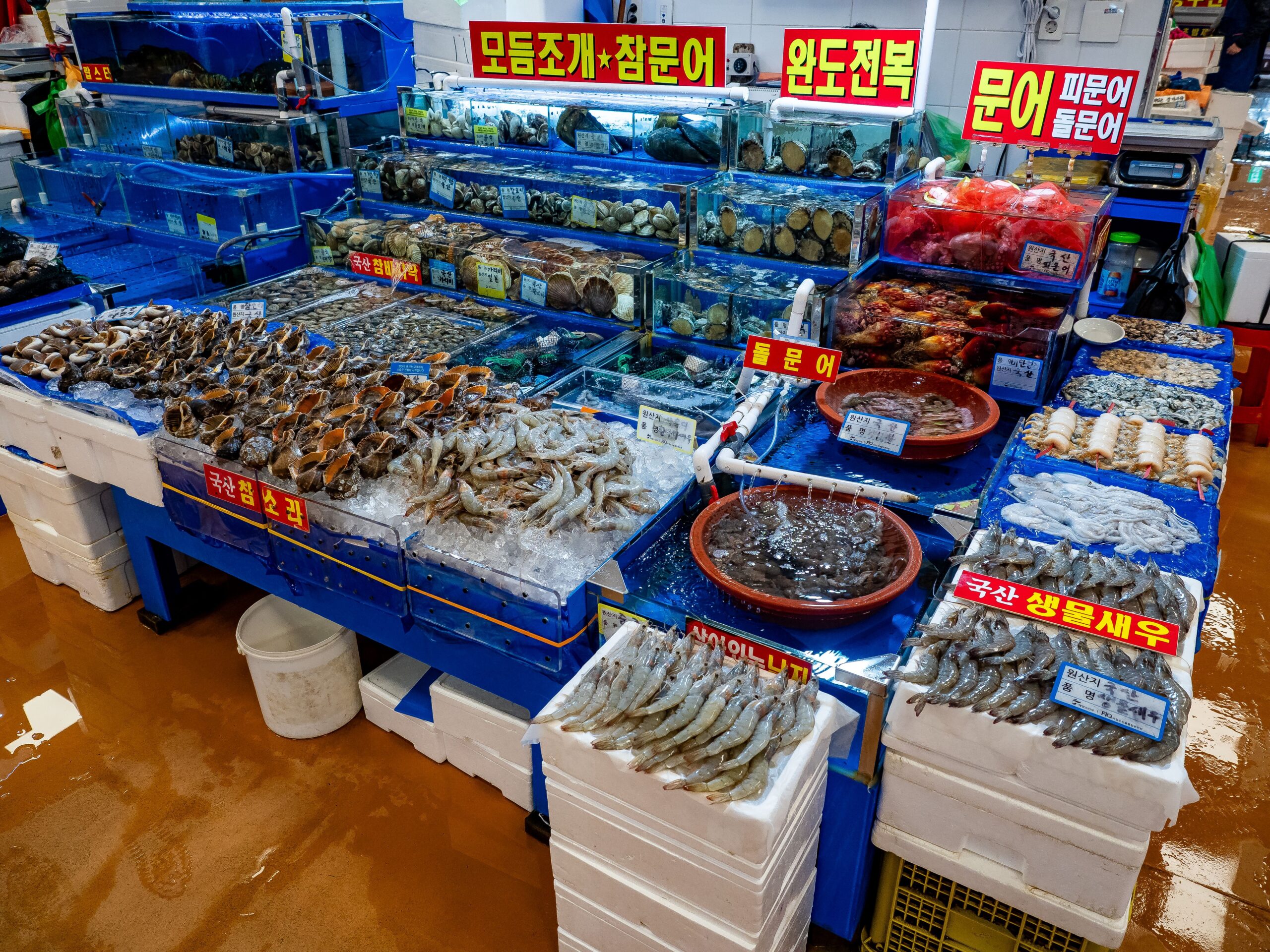 제주 수산시장 활어 코너의 모습
